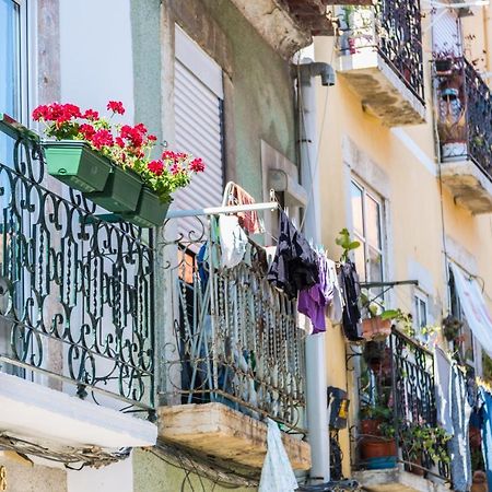 Apartament Arrabida House Setúbal Zewnętrze zdjęcie