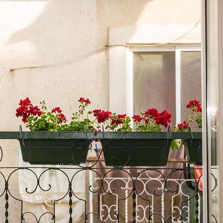 Apartament Arrabida House Setúbal Zewnętrze zdjęcie